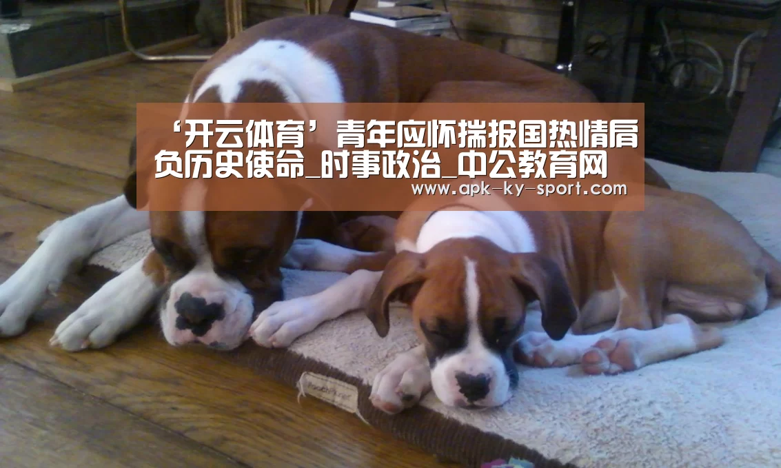 开云