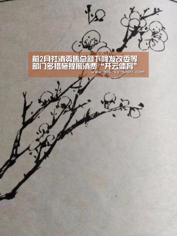 前2月社消零售总额下降发改委等部门多措施提振消费“开云体育”(图3) 开云